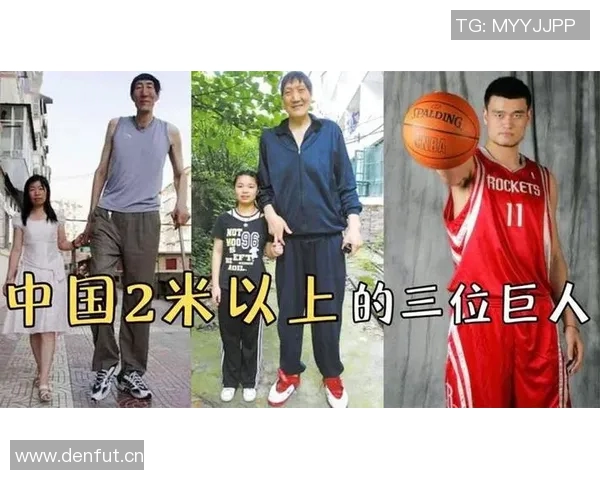 历史上身高2米26的巨人谁最强文班或成第一唯有姚明场均得分超十分